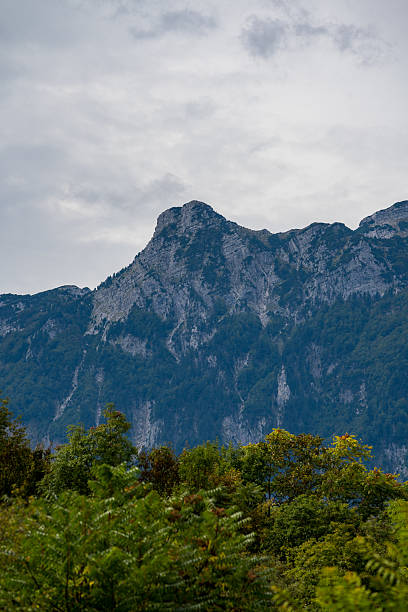 A striking vertical view of a towering rocky mountain surrounded by lush green forest under a cloudy sky. The impressive vertical cliffs highlight the geological diversity and grandeur of the alpine environment.