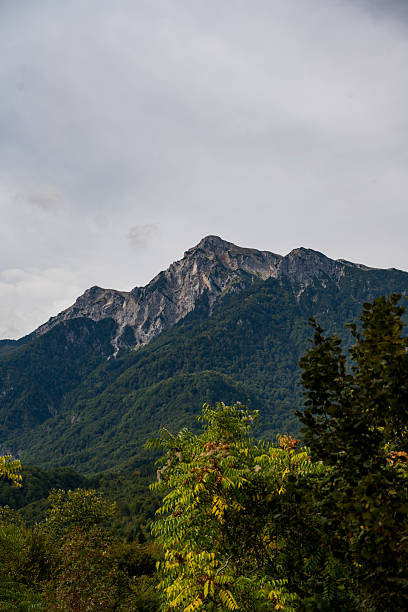 istock Majestic Alpine Summit Rising Above Forest 2240533223