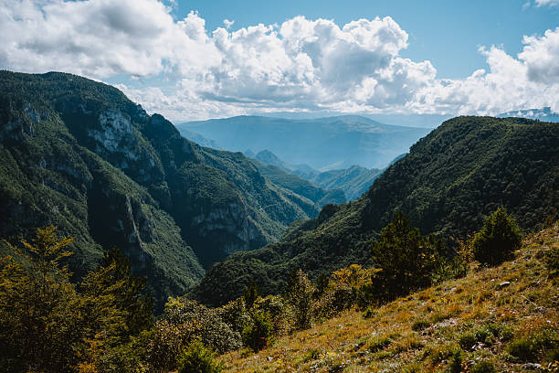 A breathtaking view of a deep mountain gorge with steep, forested cliffs and distant misty ridges under a bright, cloud-dappled sky. The scene captures the vastness and raw beauty of remote wilderness landscapes.