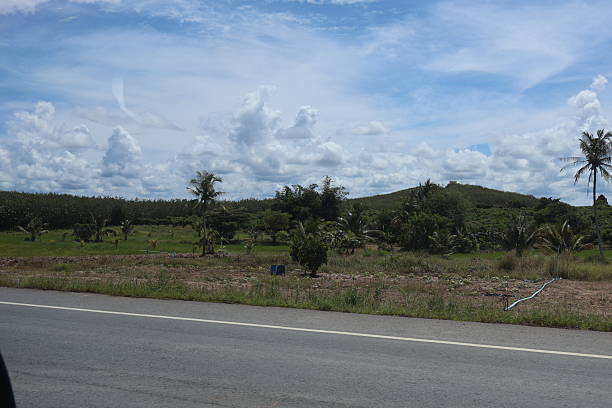 istock A vast open field under a clear blue sky. The terrain is flat with scattered trees dotting the landscape 2240534272