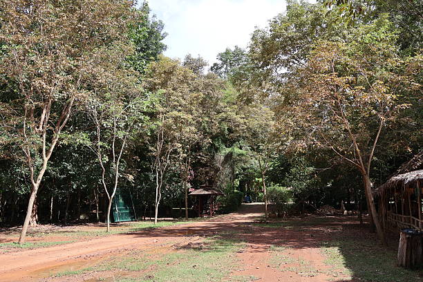 istock This image captures an outdoor area within a resort or campground. The central focus is a clearing with dirt ground, surrounded by a perimeter of tall trees providing shade to the space below them 2240535720