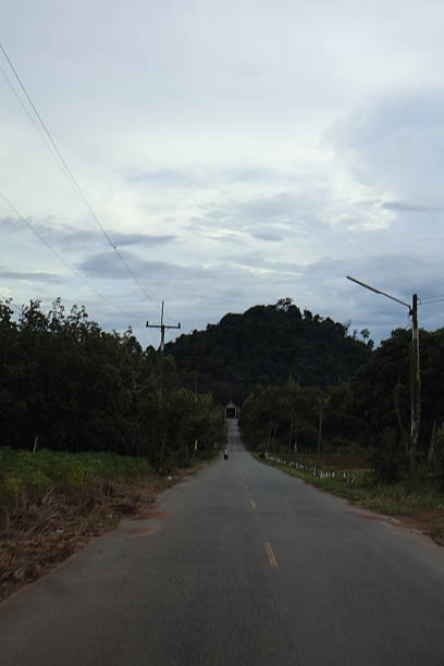 istock A rural road stretching into the distance under an overcast sky. Trees line the left side of the road, their green foliage contrasting with the gray asphalt surface 2240536899