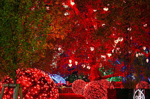 istock Big red shiny balls Christmas decorations and illuminated tree with heart shaped lights on Vienna Christmas markets at night 2240541411