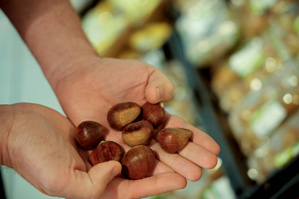 Hands holding fresh raw chestnuts, choosing nuts for autumn cooking or snacking