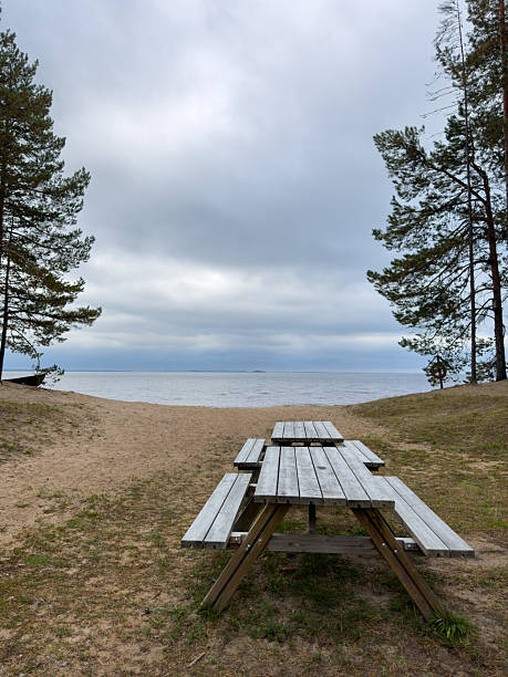 istock Picnic Table with Benches by a Forest Lake 2240546398