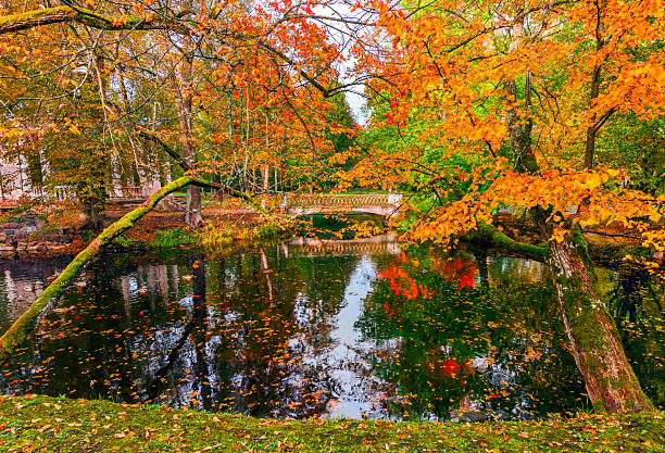 Autumn in old public domain park