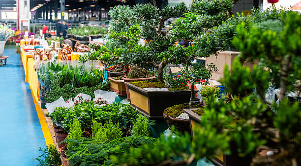 This scene features a vibrant bonsai tree with red fruits resting on a natural wood stand. It is surrounded by rich green foliage in a serene garden area.