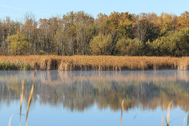 istock A marsh with a blue sky reflecting on the water. 2240555862