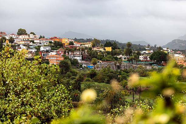 Tropical village set on a hillside, lush vegetation and palm trees under overcast skies, offering a serene landscape view