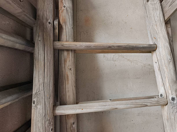 Top down view of a wooden ladder leading into a deep excavation site, showing compacted soil layers, loose dirt, and scattered debris around the pit.