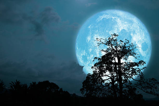 istock Super blue moon and silhouette coconut tree mountain in night sky 2240565376