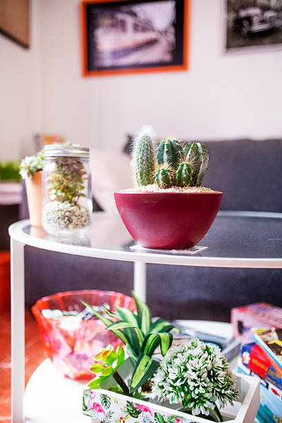 Decoration with artificial plants on a white metal circular table