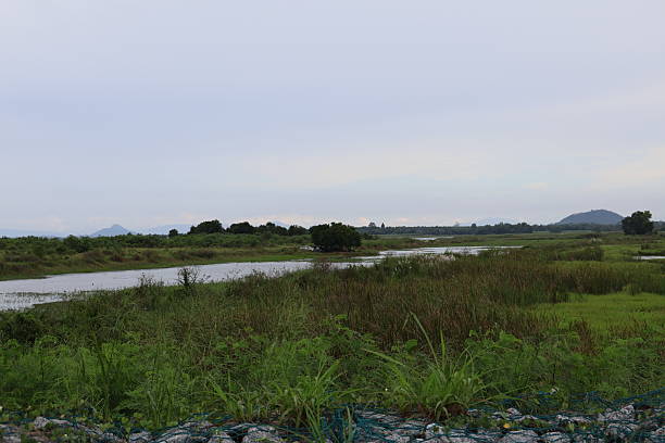 Expansive rural landscape, open road winding through green fields under overcast sky, perfect for travel-themed content.