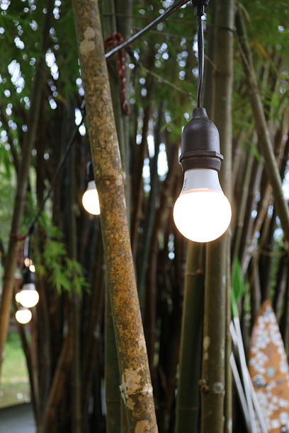 Soft glowing orbs hanging on branches, tranquil outdoor setting, warm ambiance, perfect for evening gatherings or celebrations.