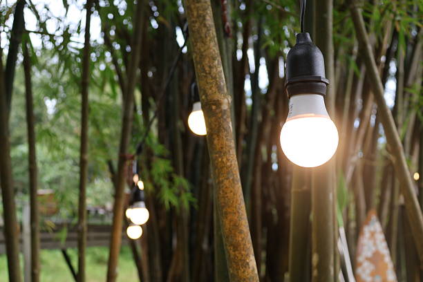 istock String lights hanging from tree branches, cozy atmosphere with soft glow, ideal for outdoor gatherings or festive decor. 2240571631