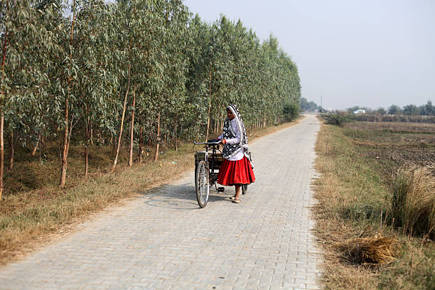 Rural women of Indian ethnicity riding rickshaw on country road near agriculture field in rural Indian wearing traditional Indian clothes portrait outdoor in nature.