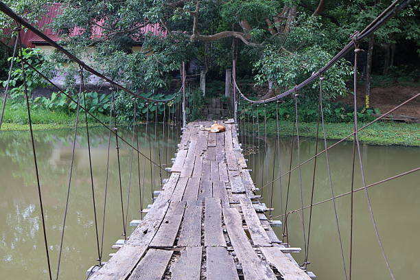 istock Suspended wooden bridge over tranquil water, surrounded by lush greenery, inviting adventure and exploration, empty for ambiance. 2240574755