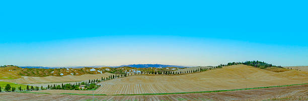 typical scenic tuscan landscape with olive tree alleys and farm house in Italy