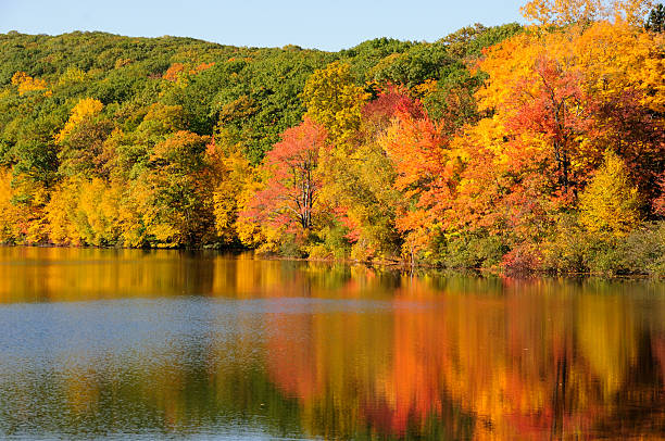 istock Lake in Autumn 2240578045