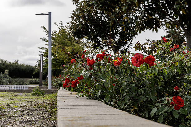 Garden  in ontanyades park