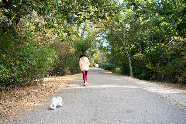 Senior woman and dog enjoying a leisurely walk in a lush green park