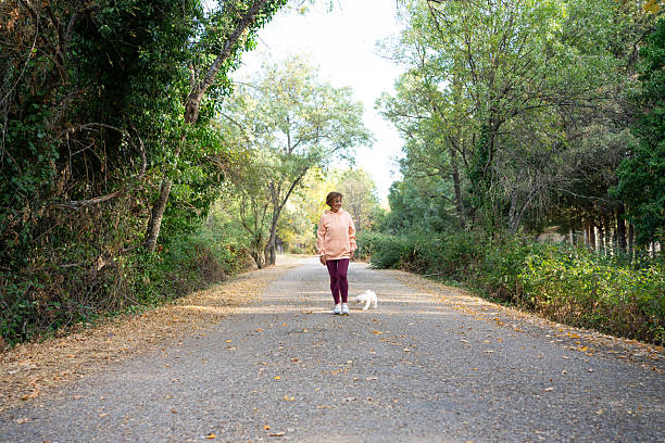 Senior woman enjoying a leisurely walk with her pet dog on a scenic autumn forest path