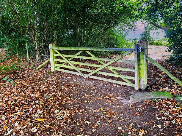 walking footpath autumn fall nature outdoors landscape environment beautiful