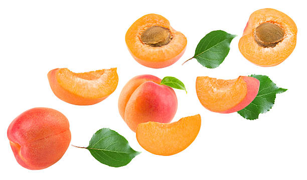 istock apricot fruits with green leaf isolated on white background. clipping path 2240580655