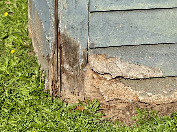 istock Abandoned run down old residential building grungy spooky 2240580811