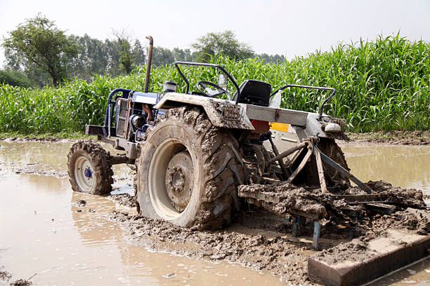 A muddy tractor sinks in a flooded field, surrounded by dense corn rows. This rural farming scene captures hard work, mud, and persistence in farm life, suitable for agriculture and outdoor lifestyle themes.