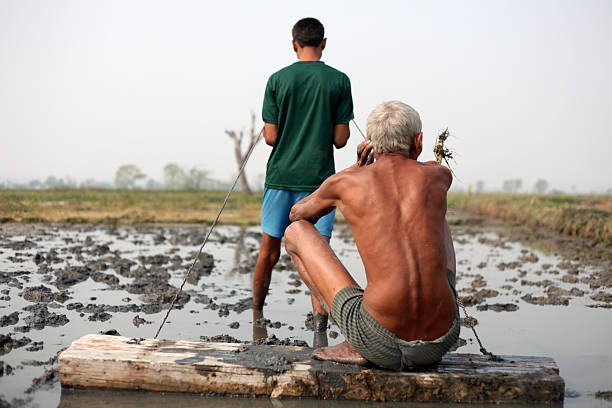 A back view of a poor Indian father and son working together in a muddy agricultural field. The son pulls a rope attached to a wooden platform while the father sits on it to add weight. The scene captures rural hard work, teamwork, and survival in traditional farming life.