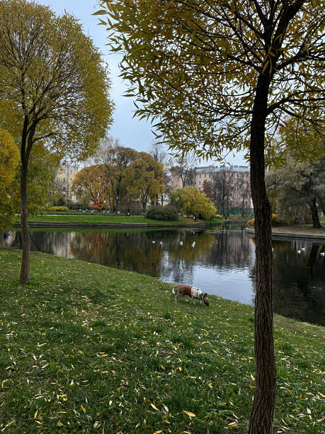 istock Serene Autumn Lake and Tranquil Atmosphere 2240582450