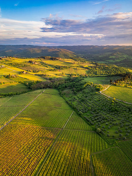 istock Panzano in Chianti vineyards from drone 2240585404