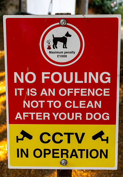 istock A sign warning dog owners about penalties for not cleaning up after their pets 2240590121