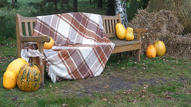 Wooden bench with plaid blanket surrounded by pumpkins and hay in cozy autumn setting
