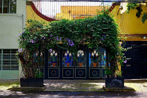 istock Verdant and Leafy Arch in Front of Yellow Building (Mexico City, Mexico) 2240605399
