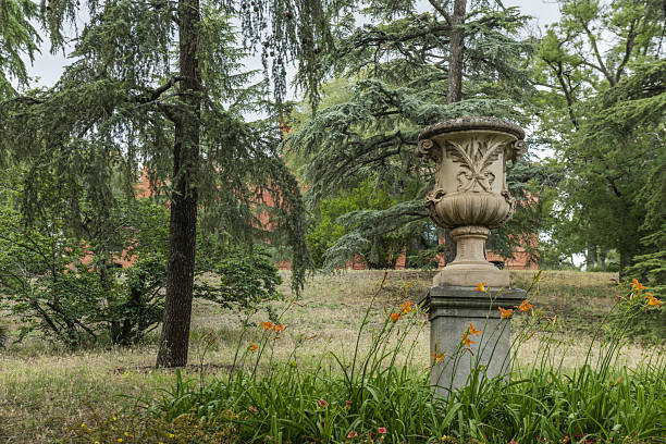 A weathered terracotta pot emerges subtly amidst a lush display of greenery, including Epimedium and other native plant species. The composition exudes organic charm in a serene botanical setting.