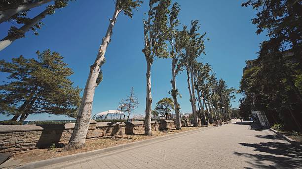 istock Waterfront in Feodosia in the summer. 2240611471
