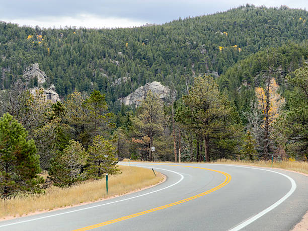 Asphalt road curving through a beautiful pine forest with hints of autumn colors