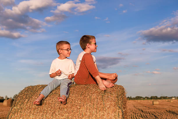 istock Brothers sitting on hay bale at sunset 2240618508