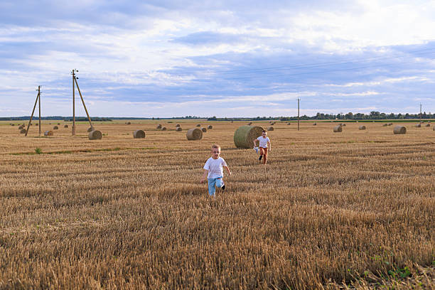 Two brothers run smiling through harvested wheat field at sunset. Concept for family, happiness, and rural summer design with copy space.