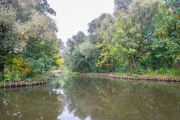 istock Quiet water surrounded by lush green and autumn trees. 2240619953