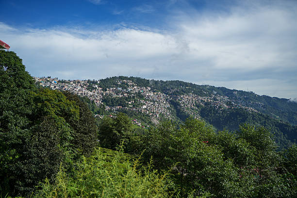 istock Tea gardens, Landscape and geo-natural diversity around Darjeeling 2240622569