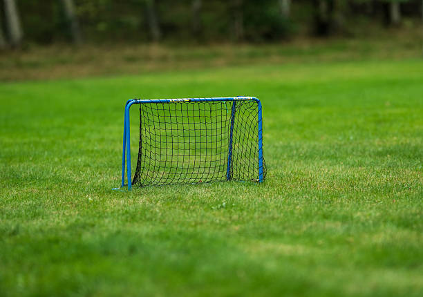 istock Small blue football goal net on grass field.. 2240622642