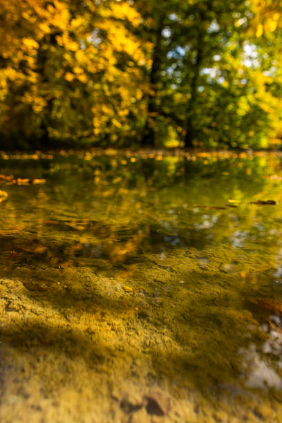 Autumn landscape with reflections from lake.