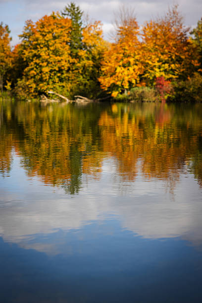 Nature landscapes, autumn colors trees reflect on lake.