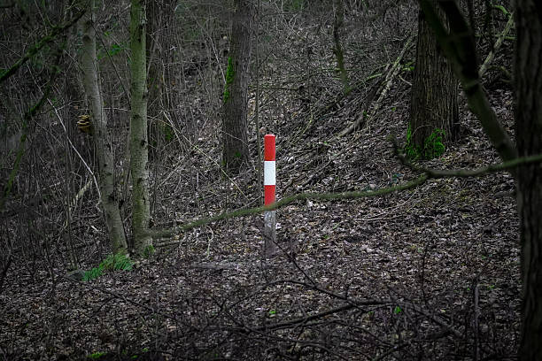 Close up of red and white Christmas pole in  dark and grey winter forest with no snow, secret entrance to North pole by Santa Claus