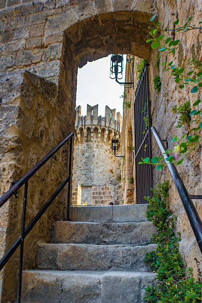 porte d’amboise avec un escalier et une tour ronde, vieille ville de rhodes vue des douves, grèce - château damboise photos et images de collection