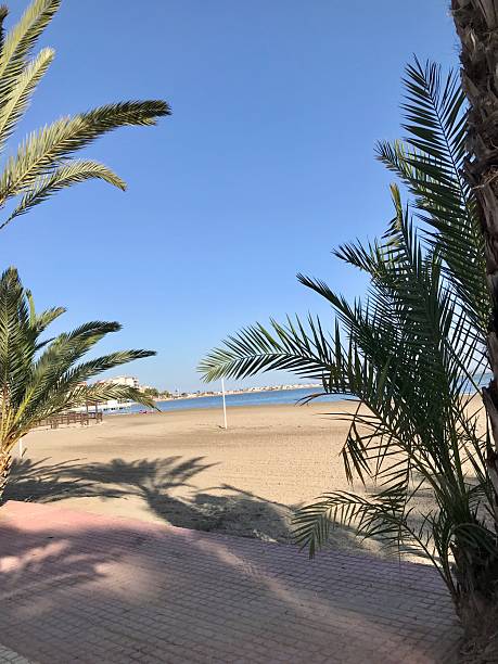 istock Tropical Beach with Palm Trees – Sunny Seaside Landscape and Blue Sky 2240628035