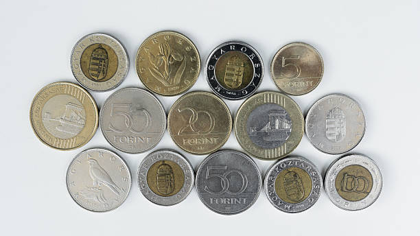 istock Hungarian Forint Coins Collection on White Background 2240630084